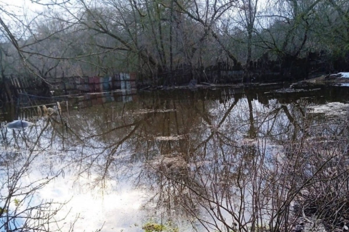 В Брянской области паводок затопил 27 приусадебных участков и три дороги