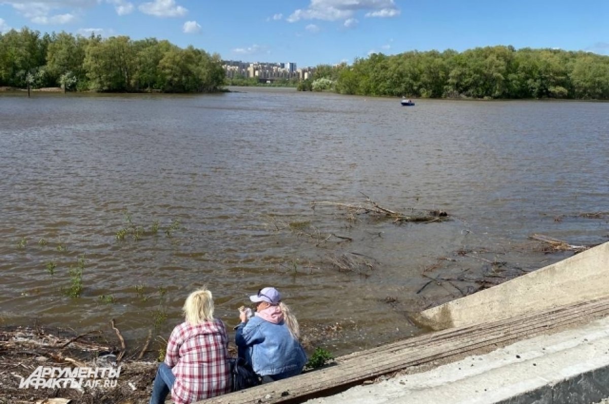 Под Белгородом очистили участок реки Тихая Сосна | АиФ Белгород