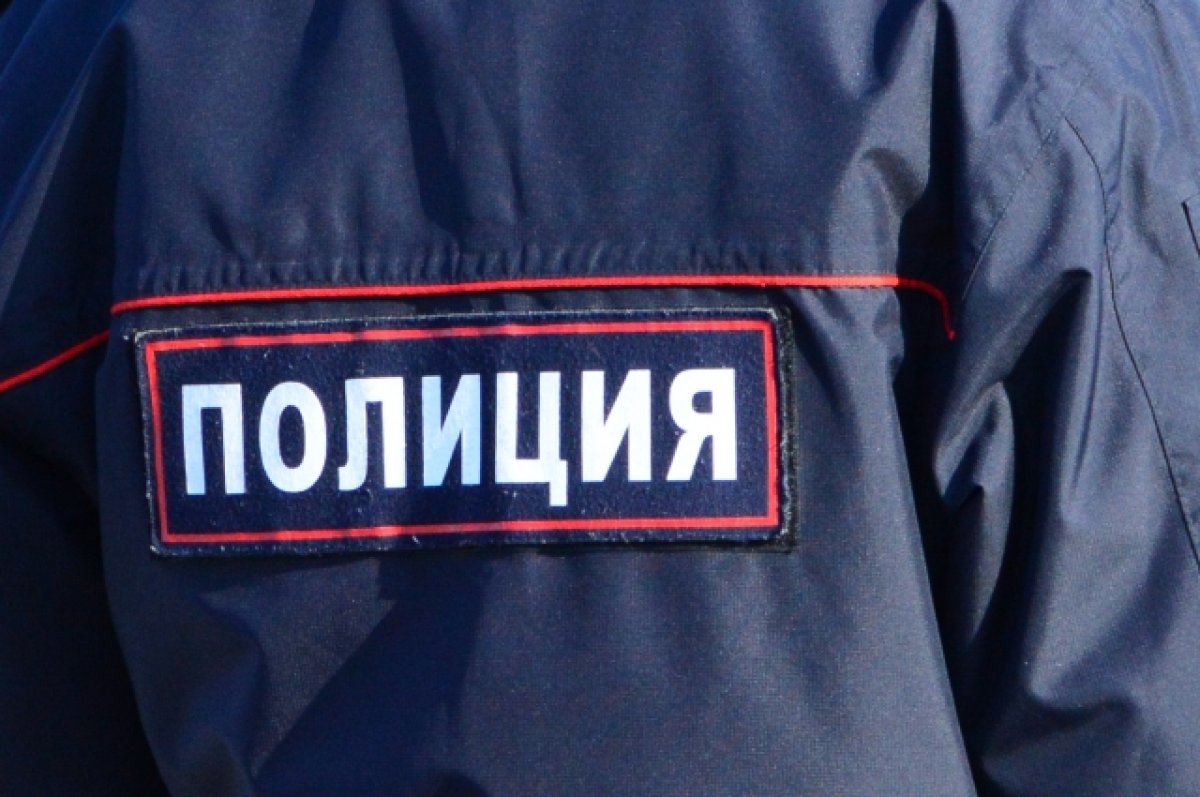 В Алтайском крае полицейские задержали двух иностранцев-закладчиков