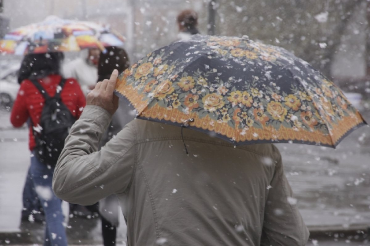 На выходных в Алтайском крае прогнозируют мокрый снег