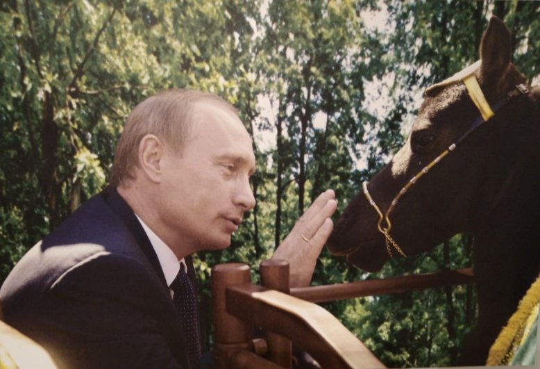 Владимир Путин и пони, подаренный ему на праздновании 1000-летия Казани. 27 августа 2005 года. 