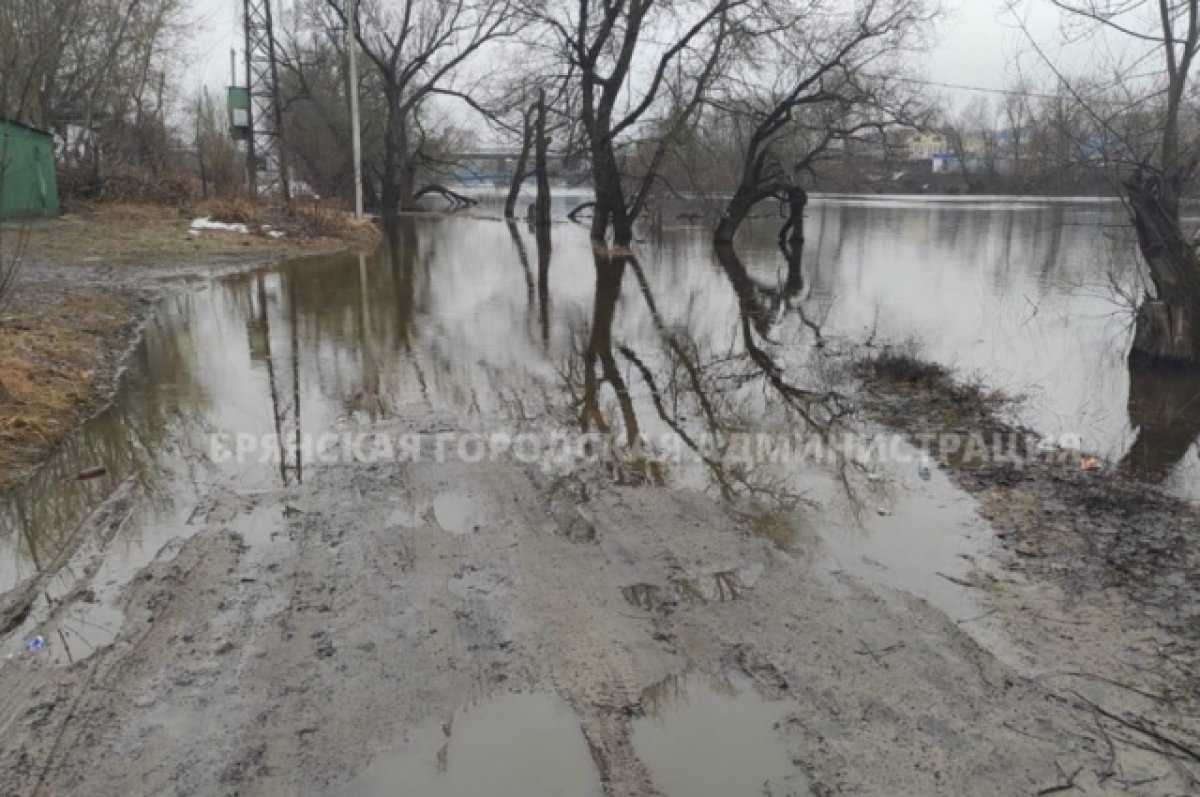 В Брянской области за сутки паводок затопил 65 приусадебных участков