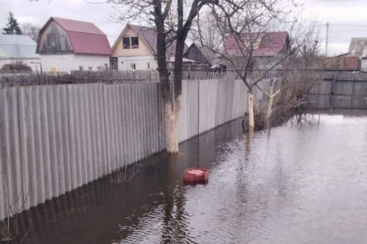 В Брянской области паводок затопил 2 жилых дома и 151 приусадебный участок