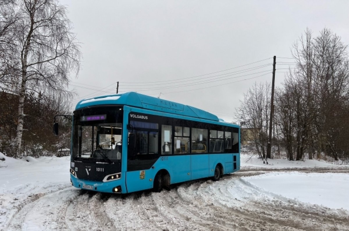 В Петрозаводске жители жалуются на транспортное сообщение между районами |  АиФ Карелия