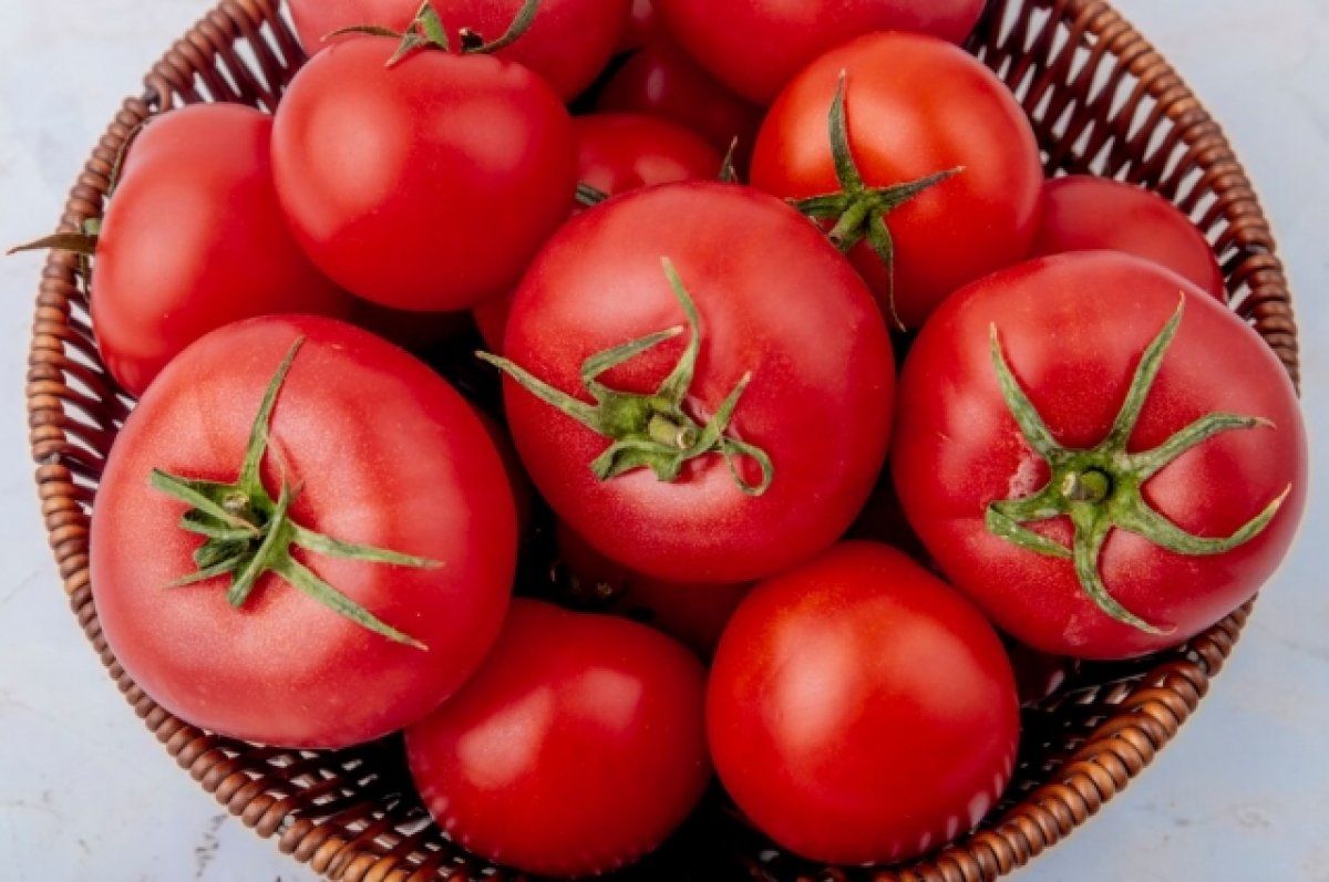 Скидка на помидоры. В Россию ввезут 100 тыс. тонн томатов без пошлины