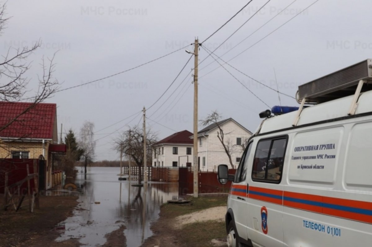 169 территорий попали в зону затопления в Брянской области