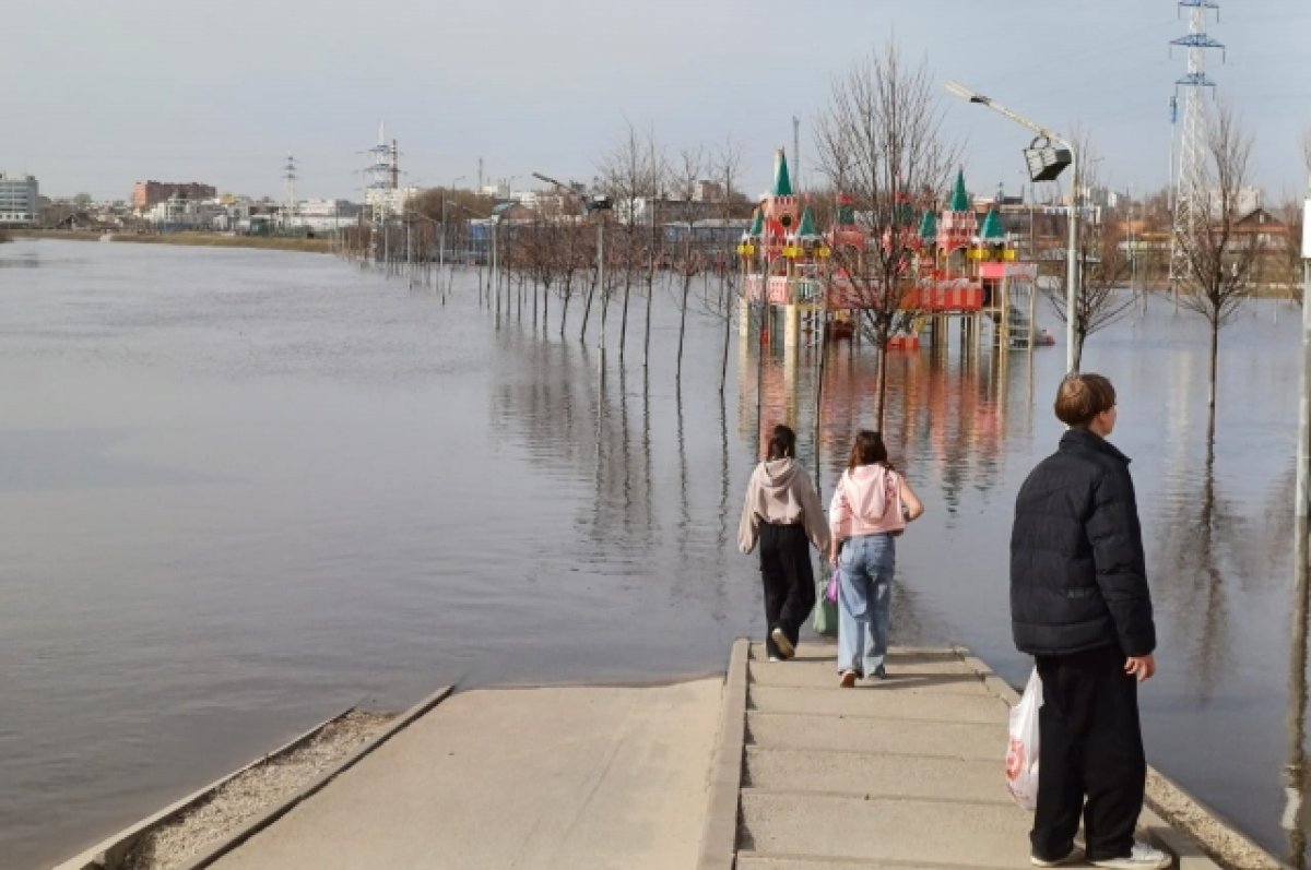 Весна бьет рекорды. В Тульской области уходят под воду мосты и дома | АиФ  Тула