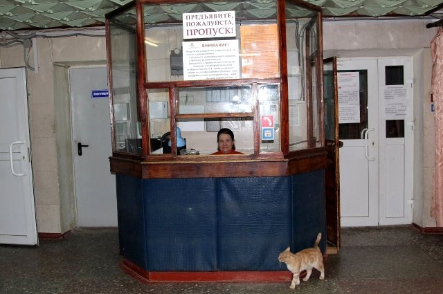 Охрана в Ростове – всё больше женщины и старики.