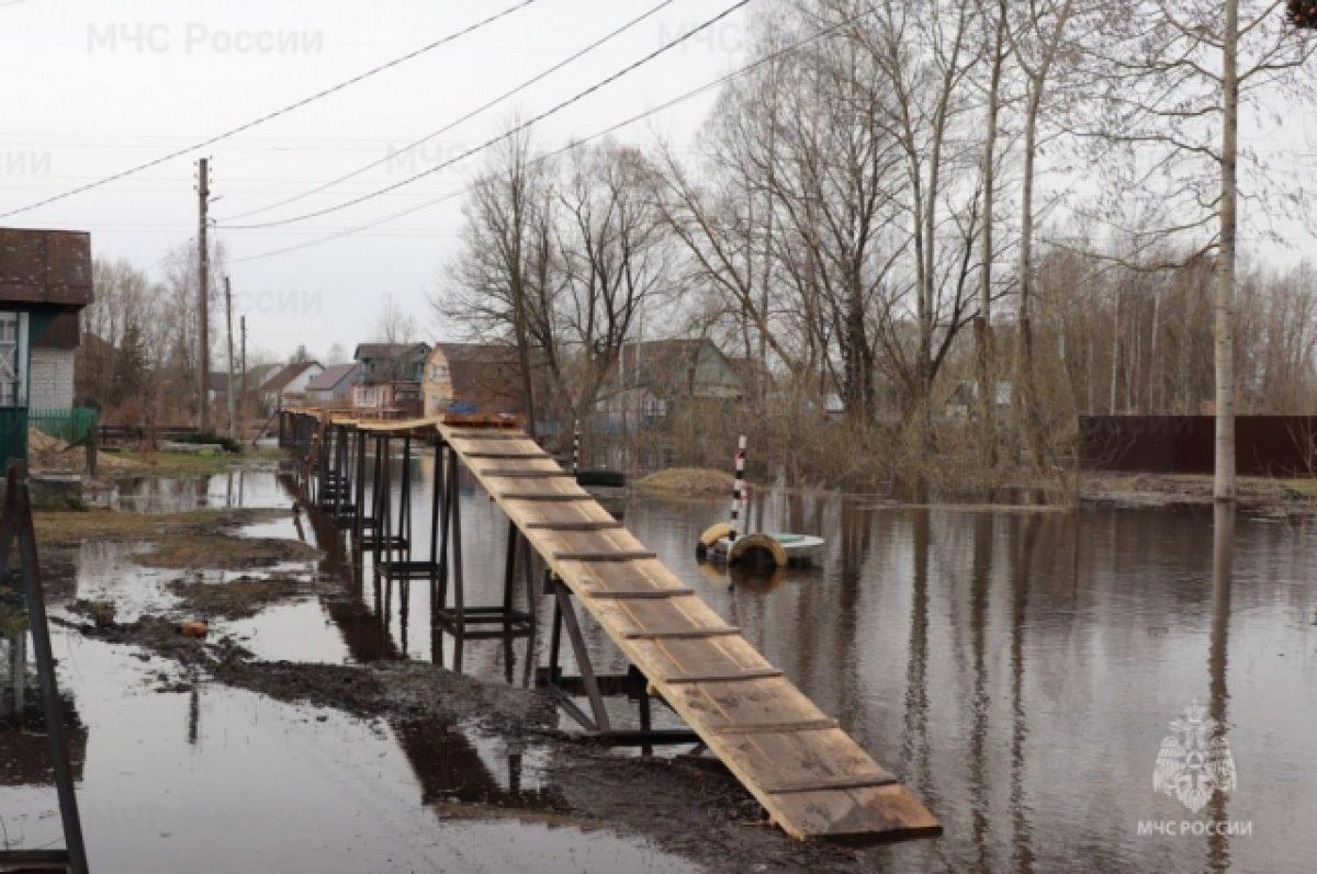 В Брянской области за сутки затопило 5 домов и 104 приусадебных участка