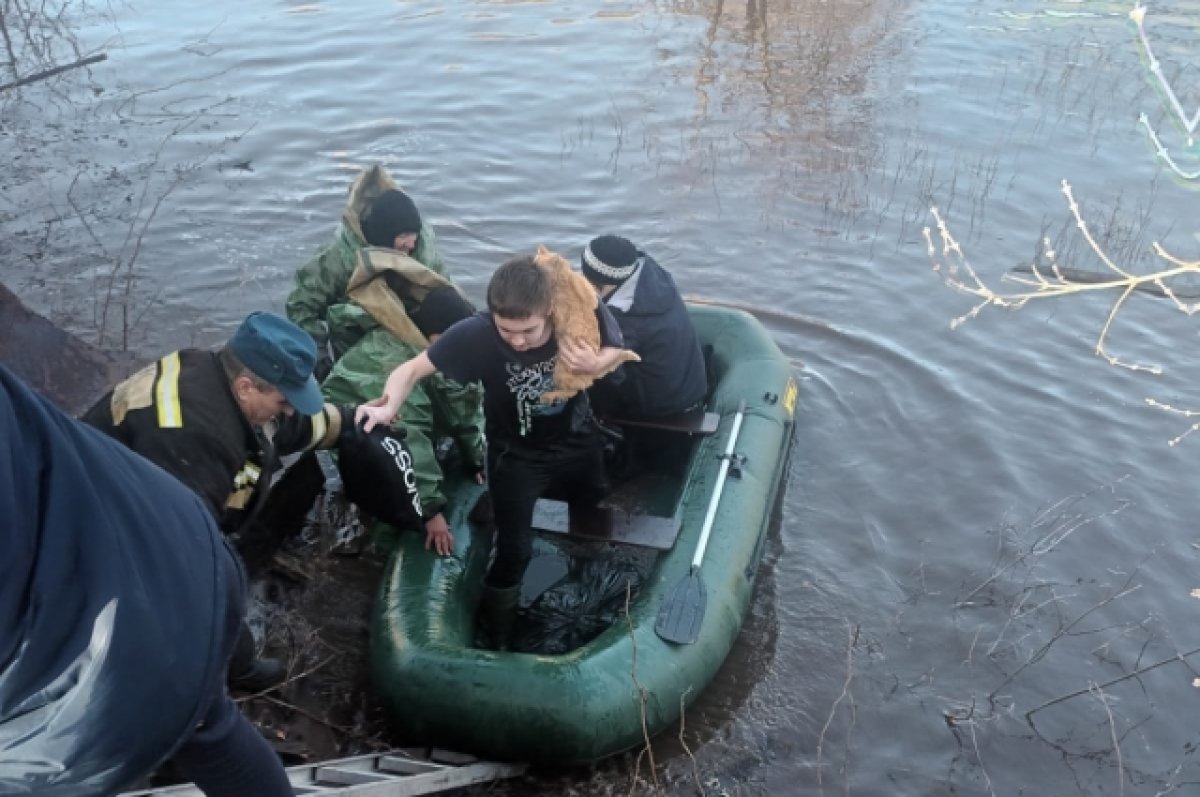 В городе Давлеканово в Башкирии талые воды подтопили 8 домов | АиФ Уфа