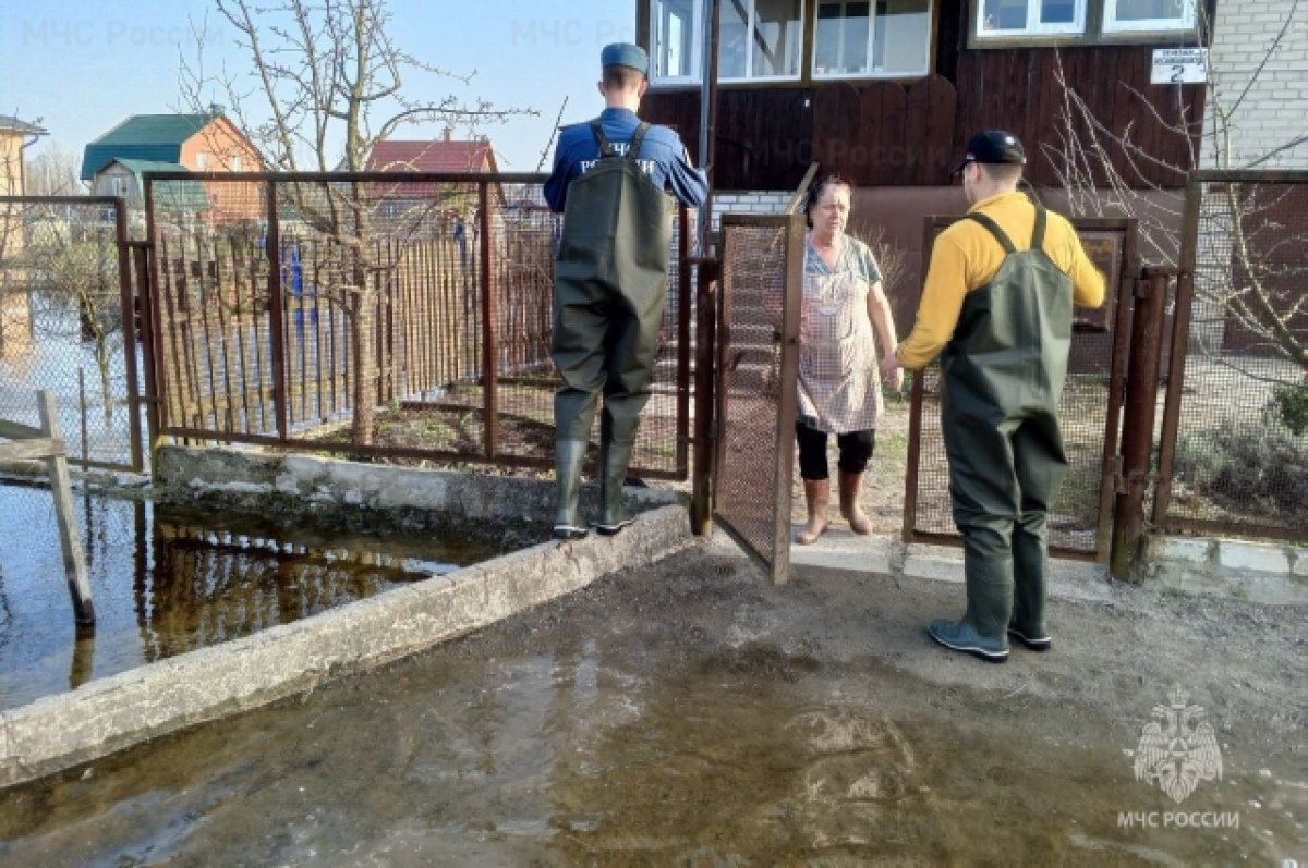 В Брянской области паводок затопил 358 территорий