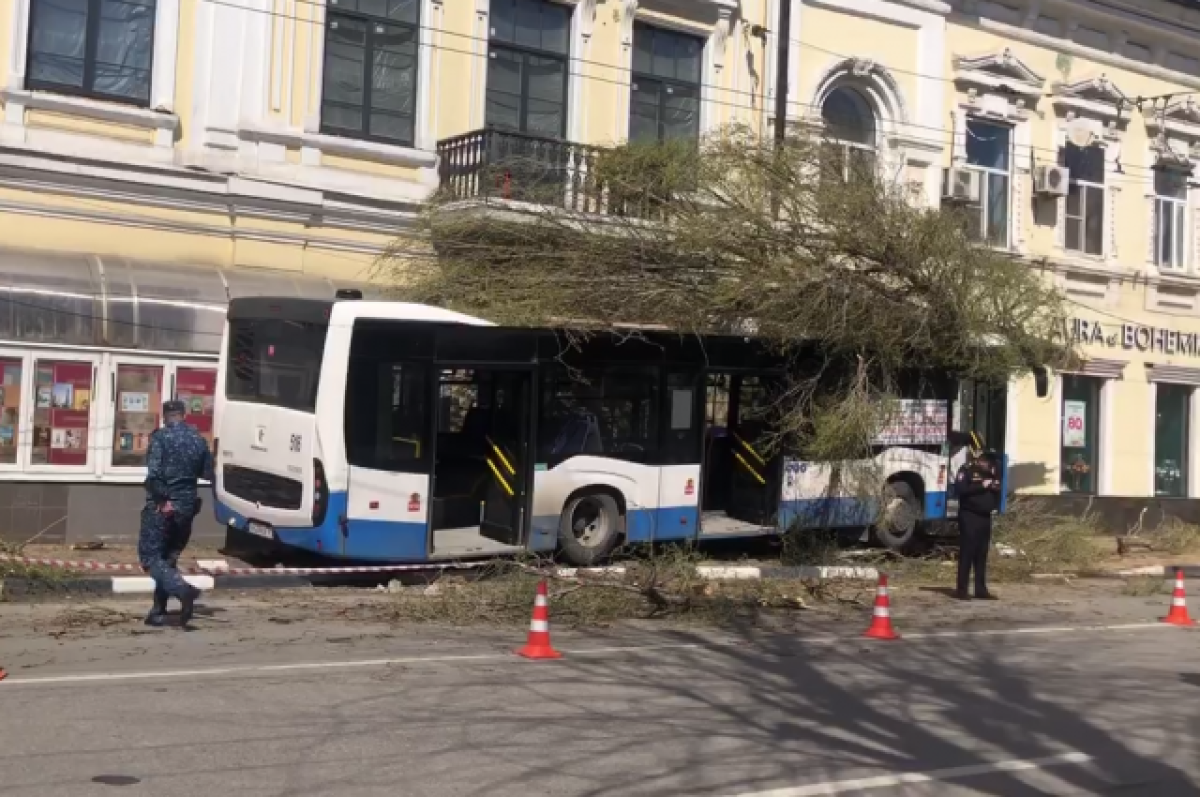 В центре Ростова новый автобус маршрута №98 врезался в дерево | АиФ  Ростов-на-Дону