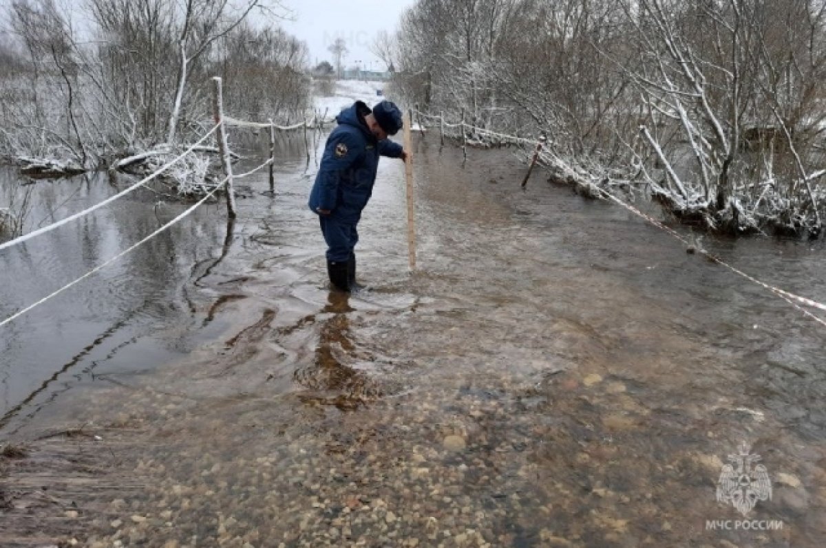 Караул, тонем! Откуда в Смоленскую область пришла большая вода | АиФ  Смоленск