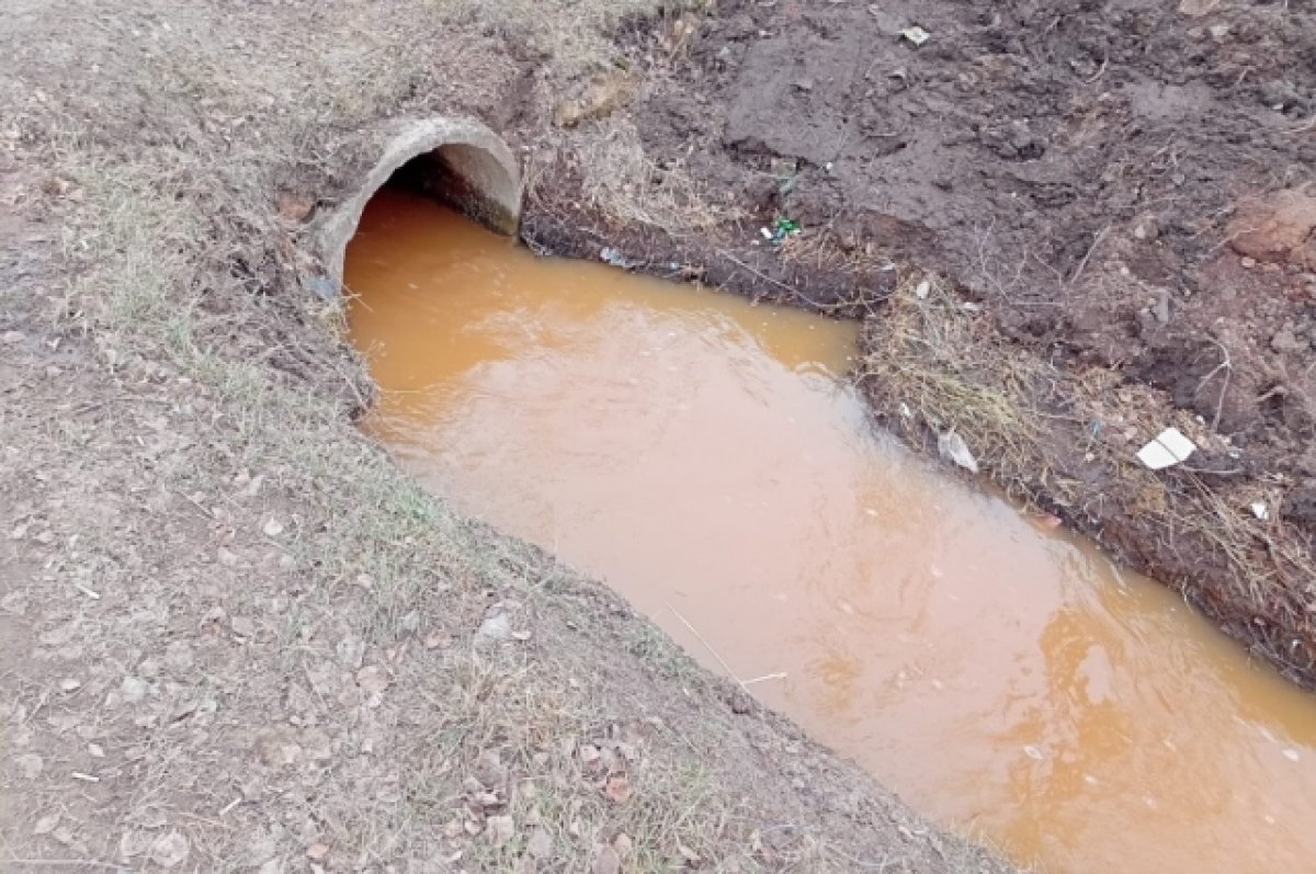 В Кировской области из-за паводка может затопить село Бахта | АиФ Киров