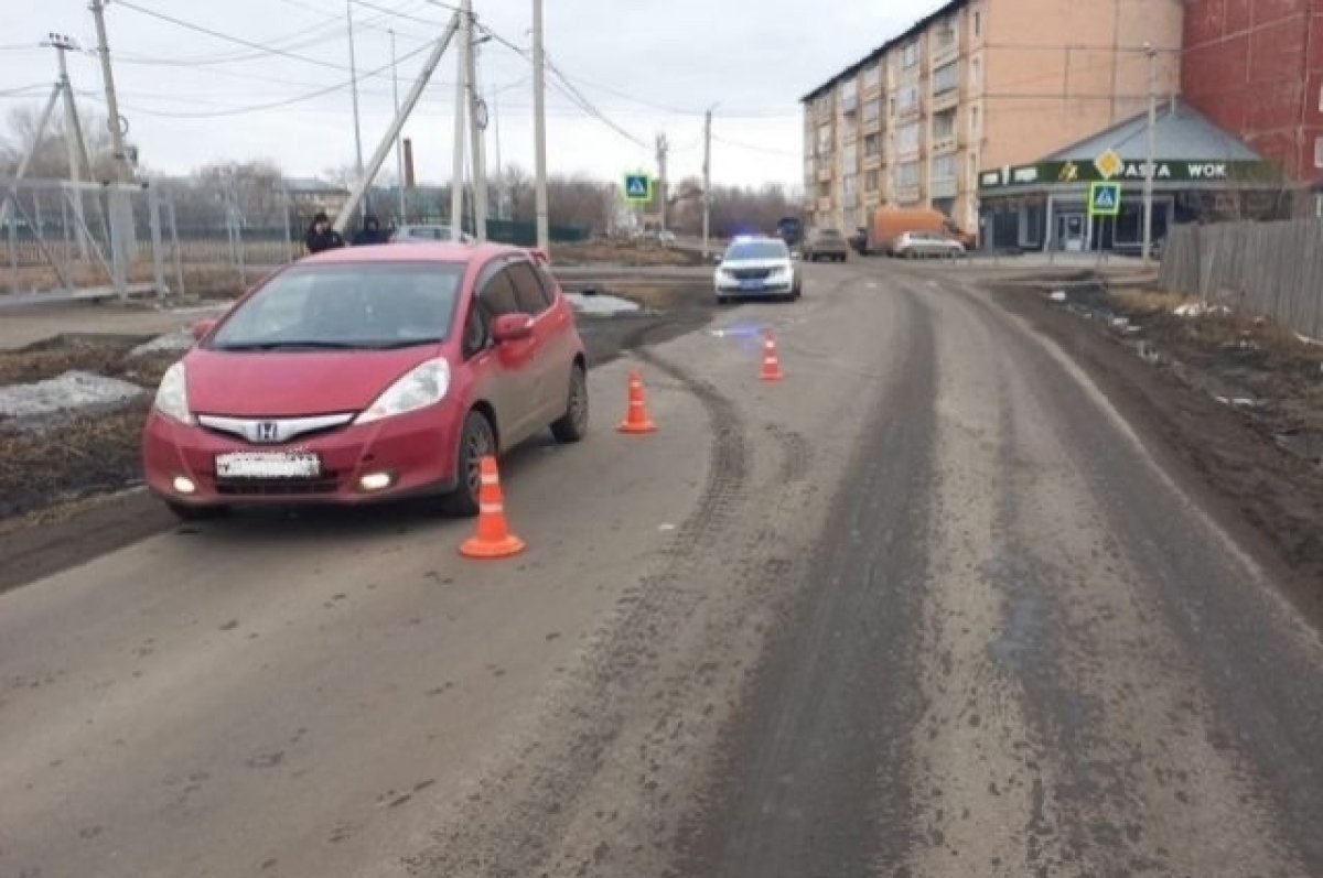 Водитель сбил выбежавшую на дорогу восьмилетнюю девочку в Тайшете | АиФ  Иркутск