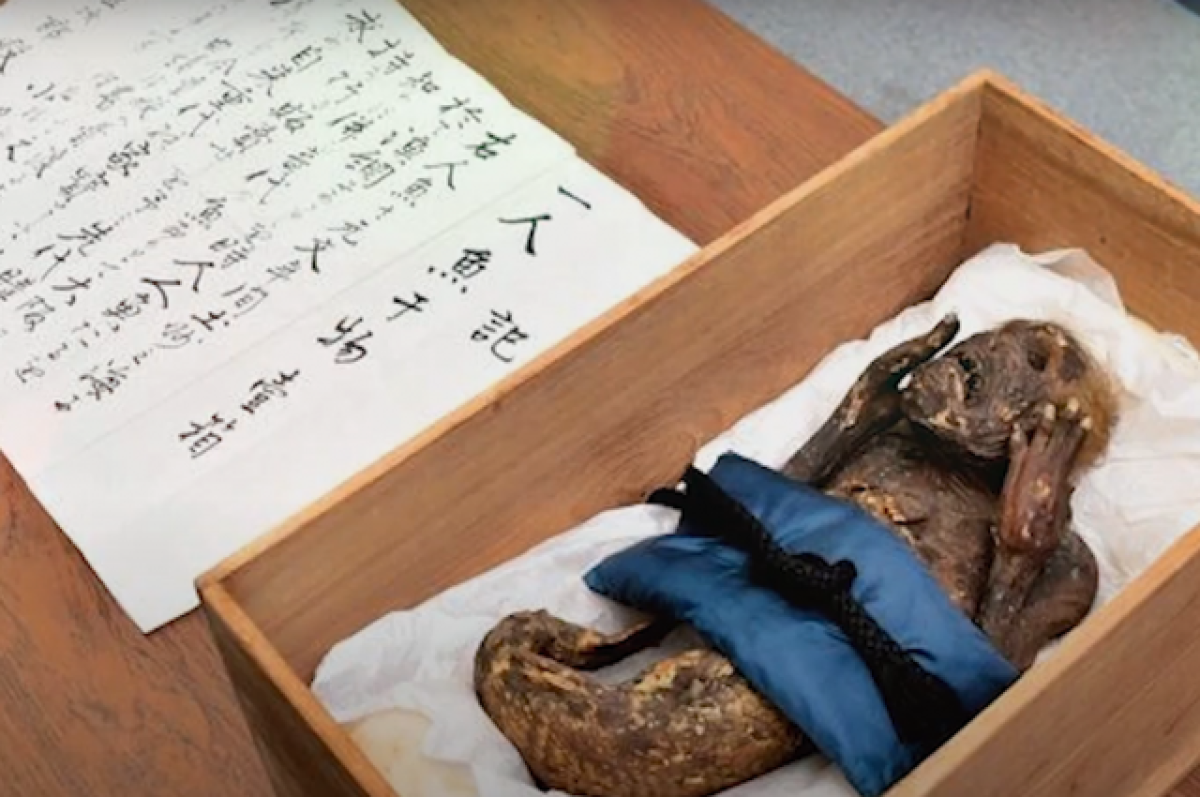 Ученые разгадали тайну японской «русалки» спустя столетие