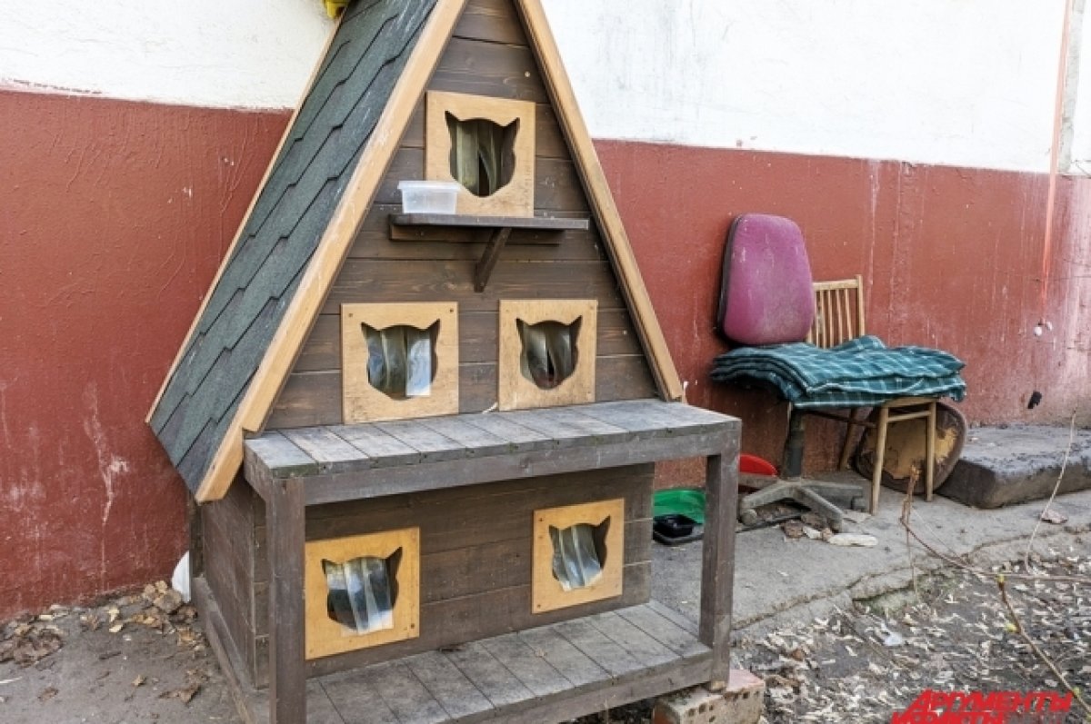 «Здесь крысы не живут». В Москве строят коттеджи для кошек
