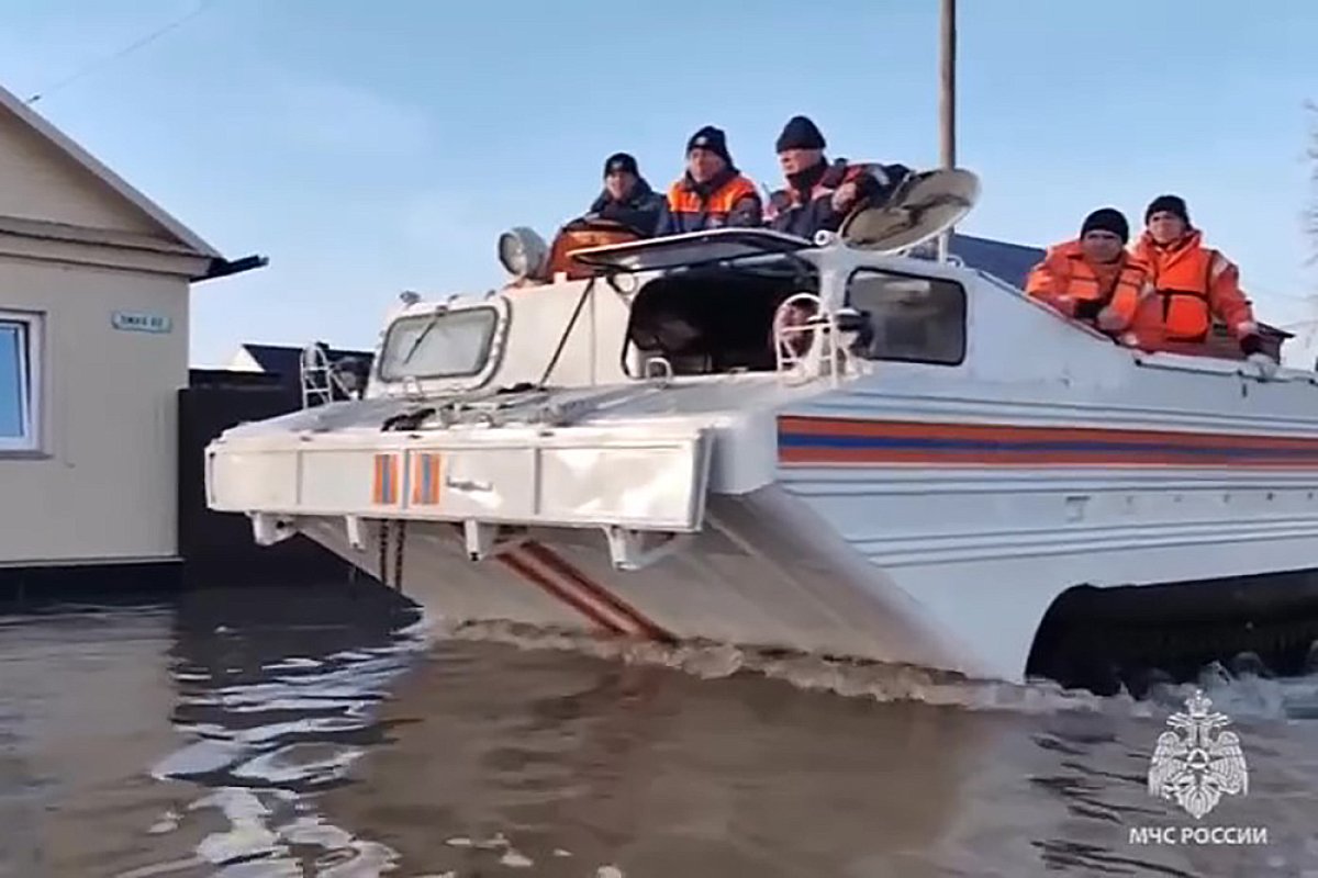 В Ростове ищут волонтеров для спасение животных из-за наводнения на Урале