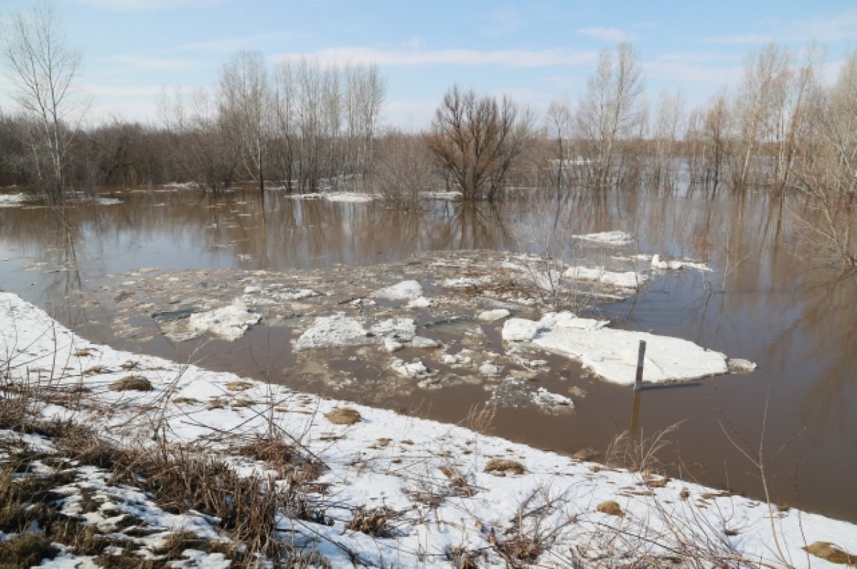Ситуация с паводком в Барнауле стабилизируется