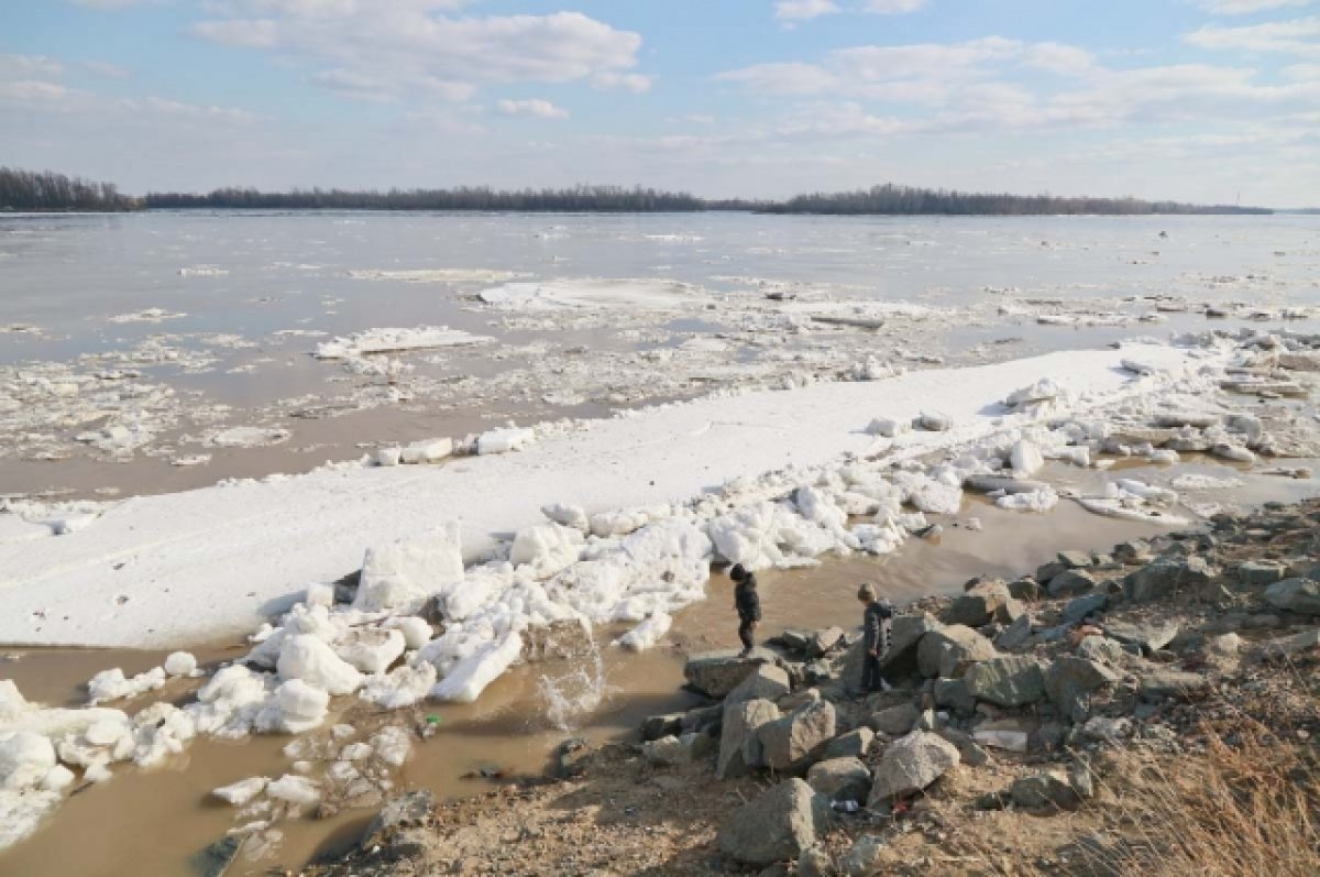 Уровень воды в Оби в Барнауле за сутки повысился на 45 см