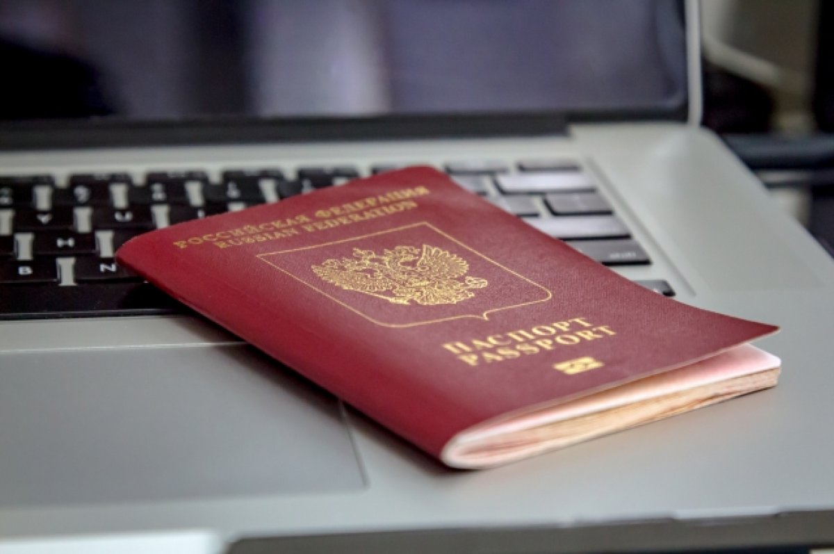 Правительство не поддержало повышение штрафа за умышленную порчу паспорта