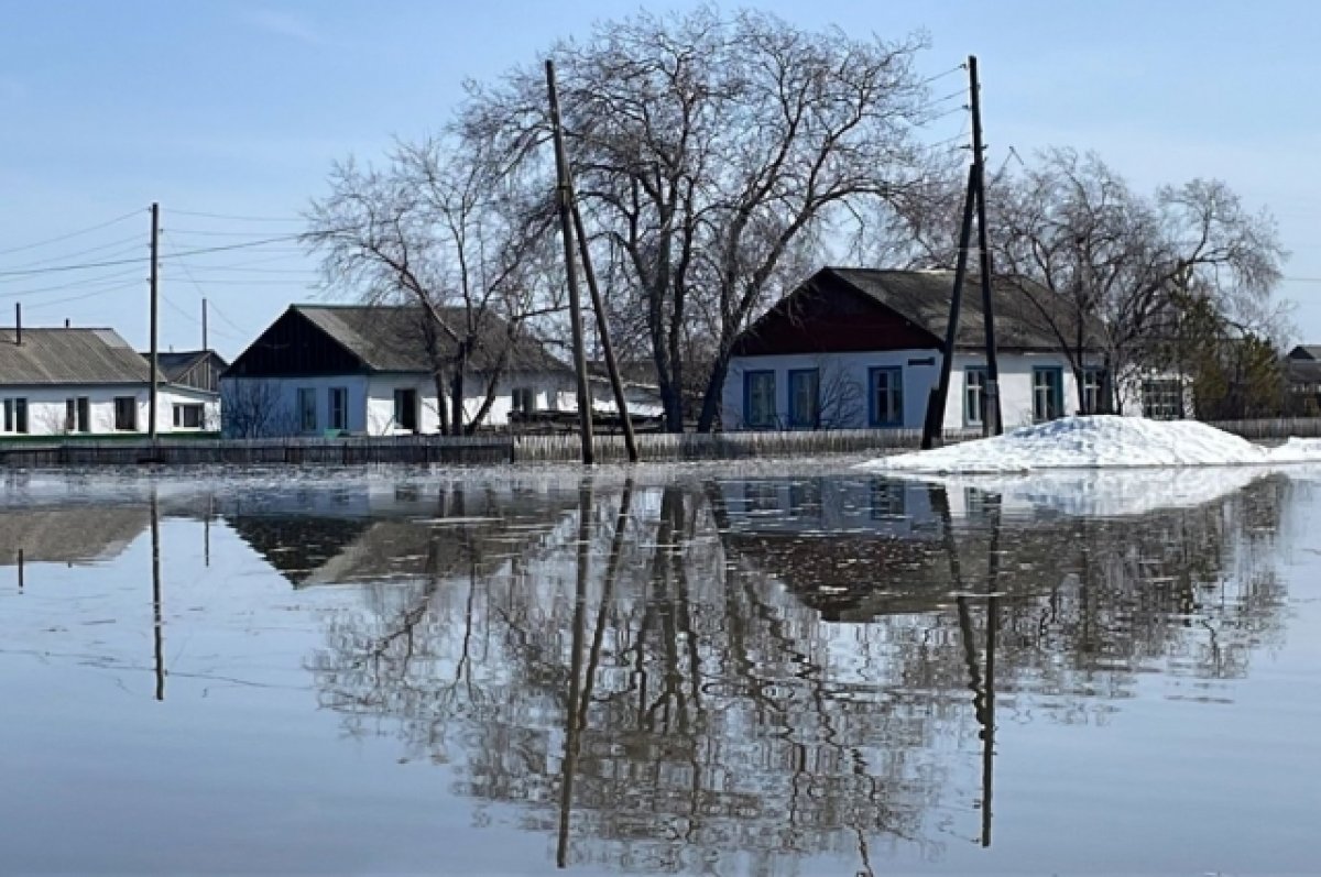 За сутки от наводнения в Омской области спасли 41 дом и 113 участков | АиФ  Омск