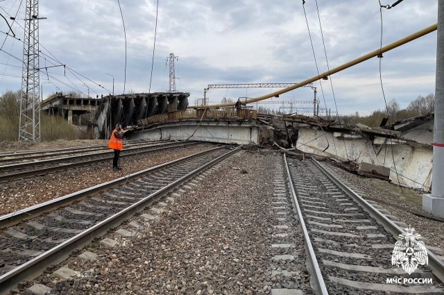 Панинский мост в Вязьме Смоленской области обрушился 8 апреля около 16:32 по Москве.
