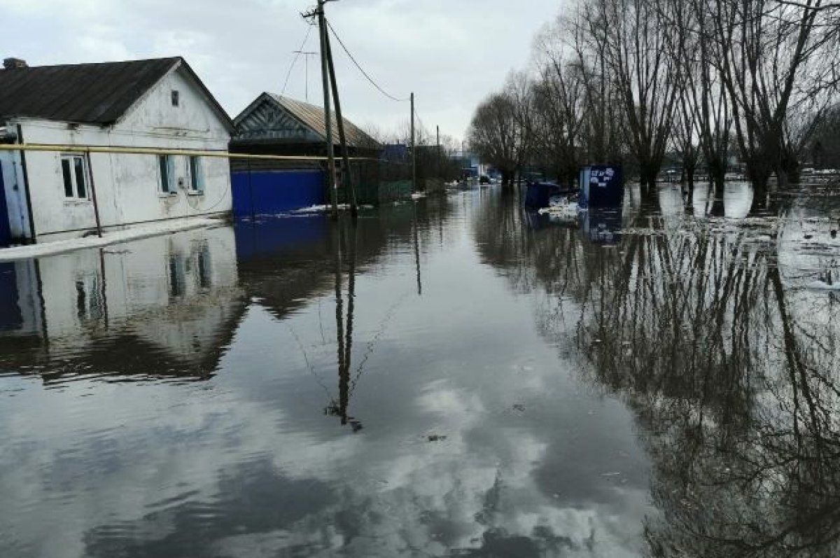 Пришла большая вода. Ситуация с паводком остаётся тревожной | АиФ Чебоксары