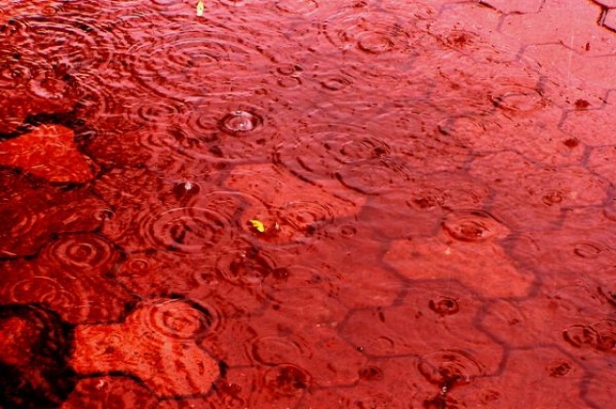 Планирующих отдых в Испании туристов предупредили о «кровавом дожде»