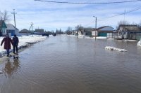 Свыше 12,4 тыс. домов и 14,5 тыс. участков затоплены в Оренбуржье.