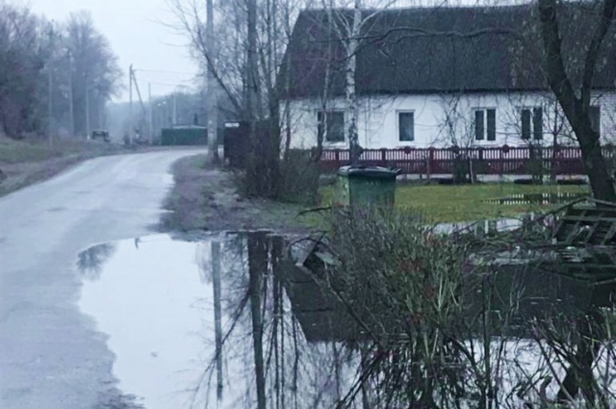 Число затопленных паводком территорий на Брянщине сократилось до трехсот