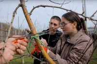 Аграриям лучше учиться на практике.