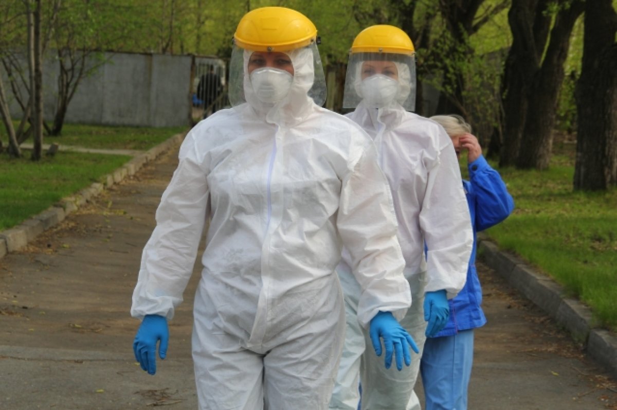 В Таганроге в конце апреля начнётся борьба с клещами и комарами