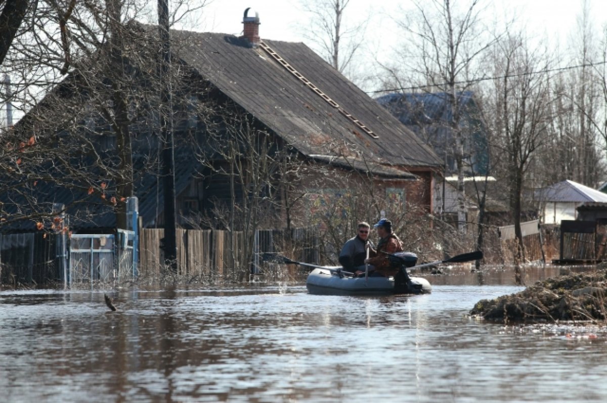 В селе Вершинино под Томском река Томь затопила 22 участка | АиФ Томск