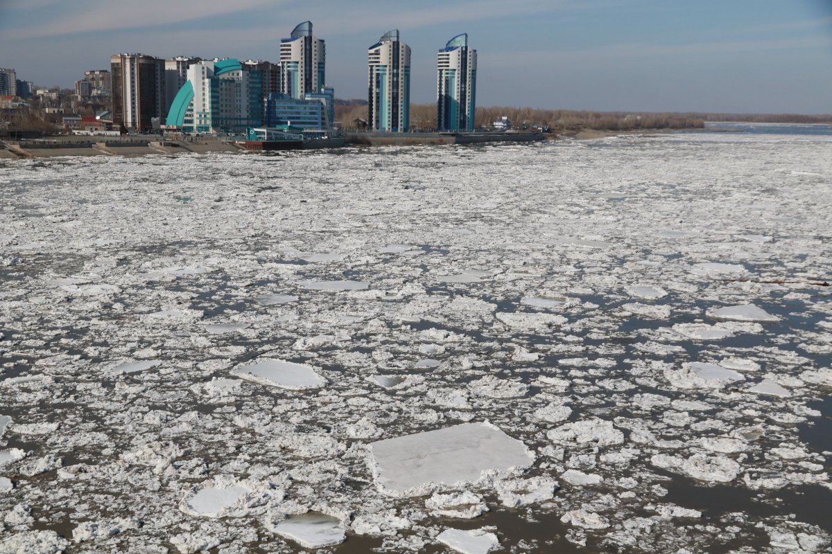 Уровень воды в Оби в районе Барнаула снизился на 10 см