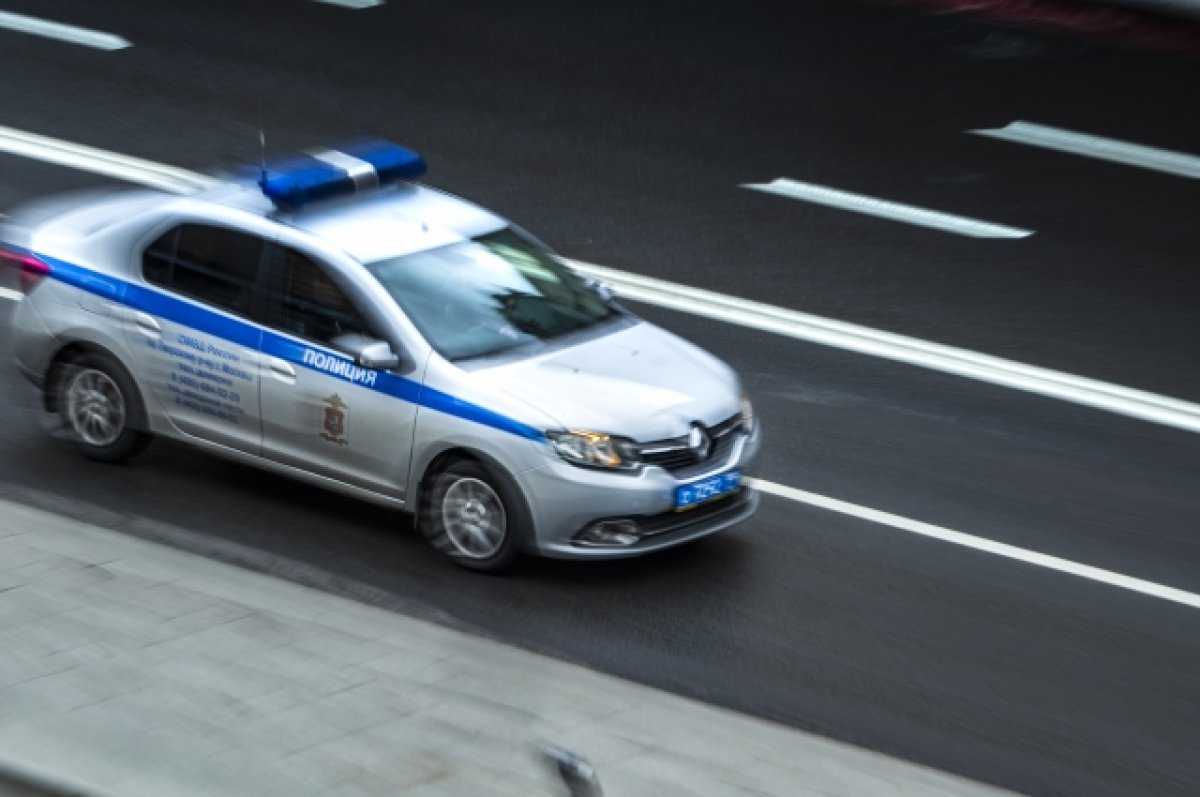 В Приморье полиция открыла стрельбу по колесам для ареста пьяного водителя