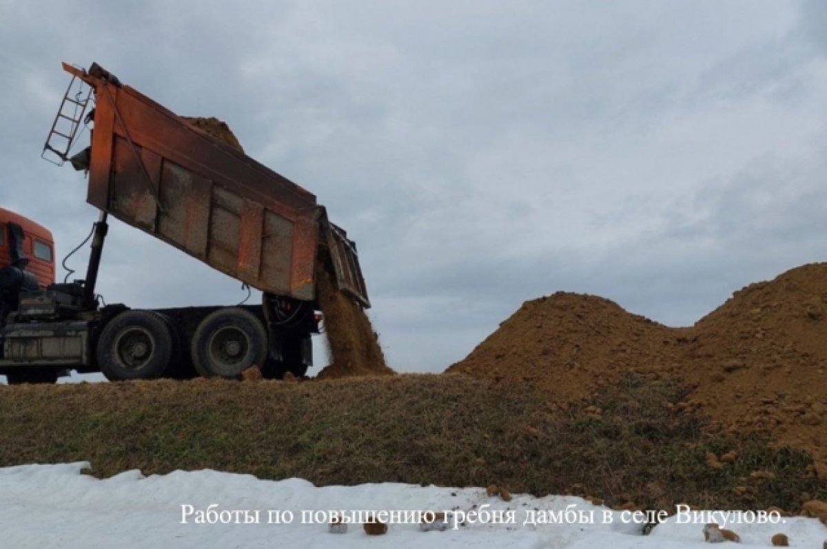 В Викуловском районе Тюменской области укрепляют дамбу и строят насыпь |  АиФ Тюмень