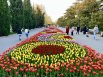 Жители и гости города-героя наслаждаются прогулками по Приморскому бульвару, окруженному цветами. Излюбленное место съемки - напротив театра Луначарского. 
