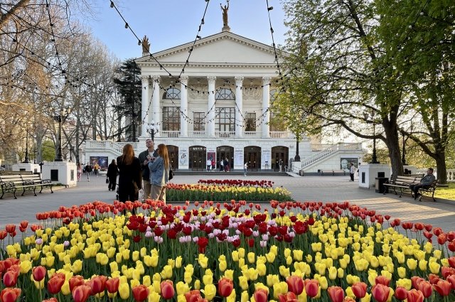 Центр города-героя украсили цветочные композиции.