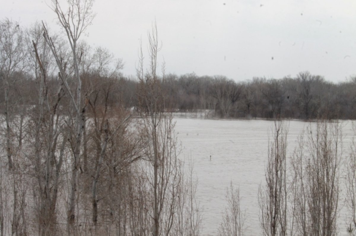 В Казахстане эвакуировали свыше 104 тысяч человек из-за паводка