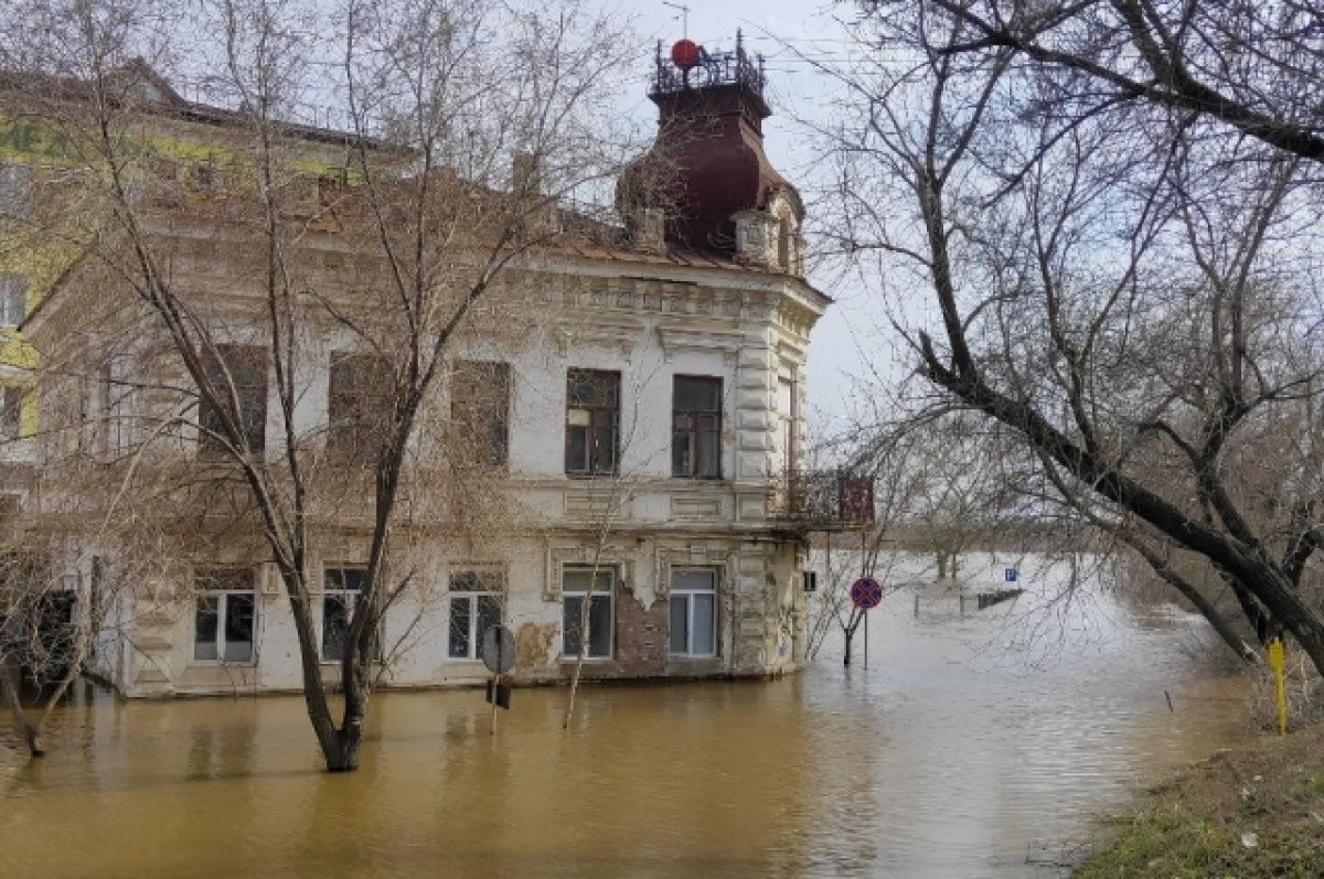 Трупный яд, гепатит и крысы. Вода в Оренбурге уходит, обнажая новые беды. |  АиФ Оренбург