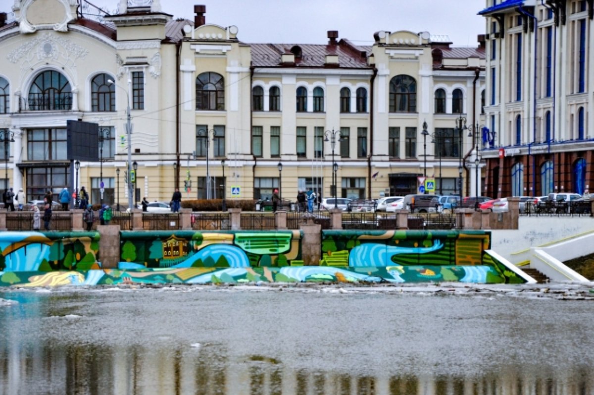 Уровень воды в Томске превысил опасную отметку | АиФ Томск