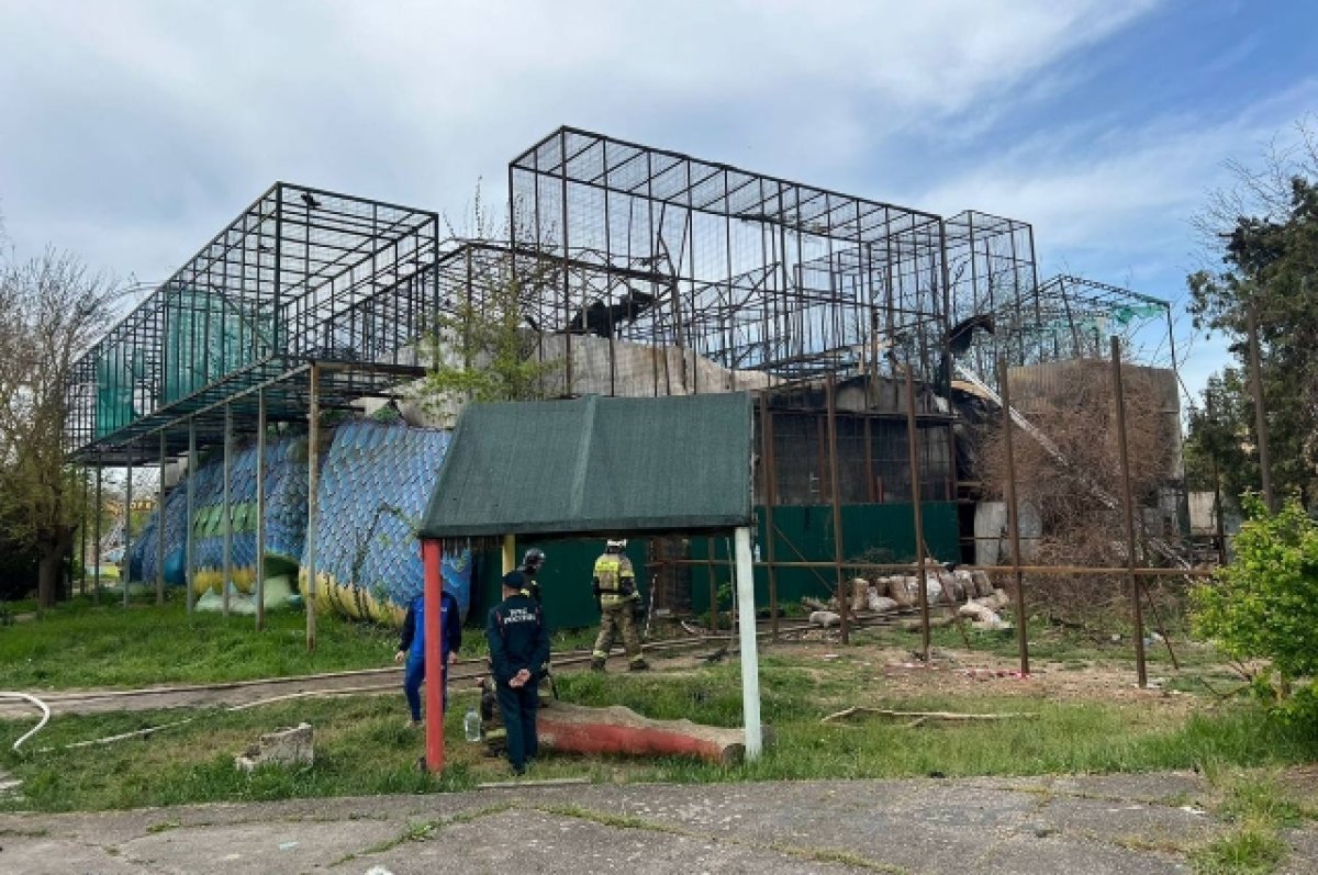 В Евпатории при пожаре в зоопарке сгорели более 200 животных