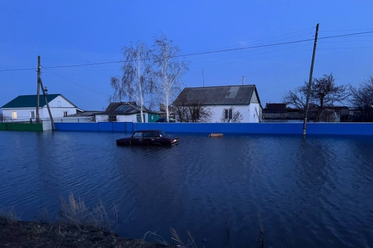 Накануне большой воды. Омичи в ожидании третьей волны паводка | АиФ Омск