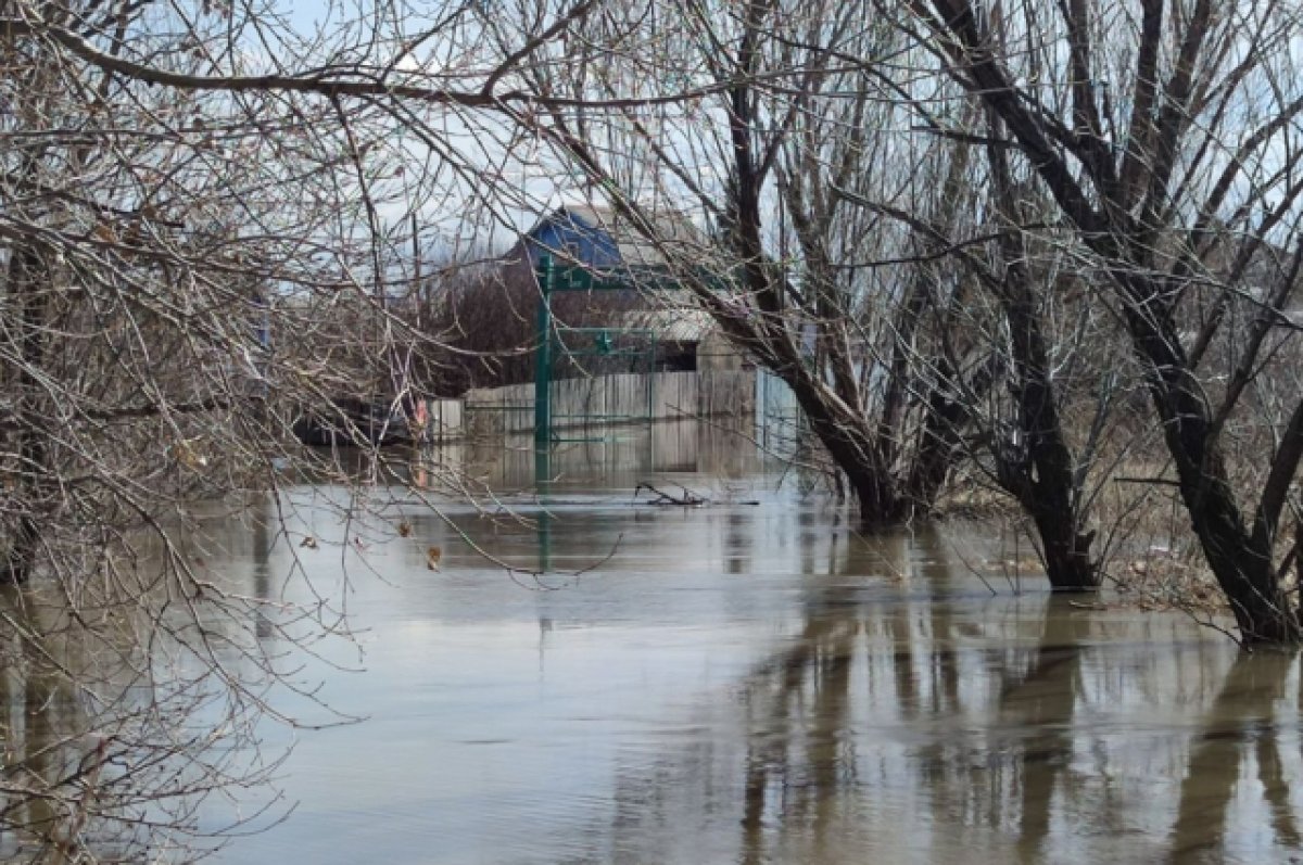 Уровень воды в Тоболе в трех селах около Кургана достиг 10 метров