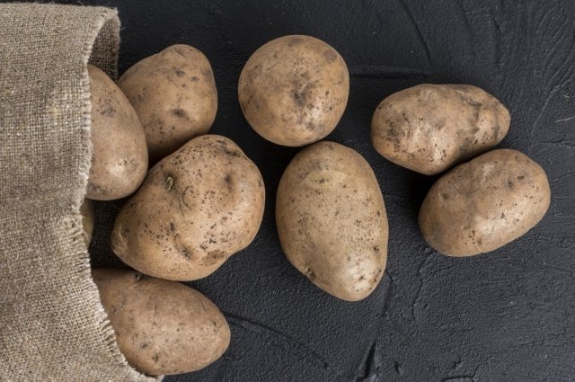 Перед посадкой картофель нужно перебрать и для посадки выделить целые, здоровые клубни.