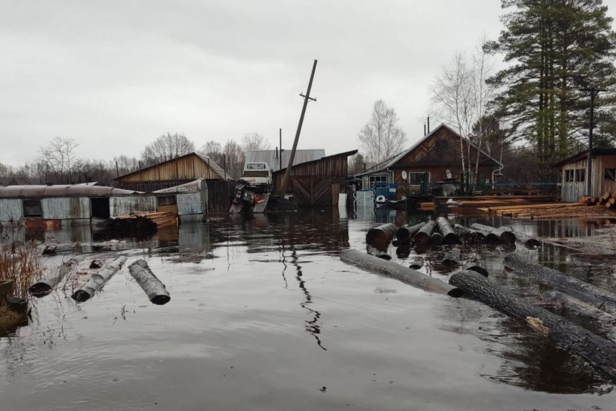 Дом сельского депутата в Хабаровском крае затопило паводком | АиФ Хабаровск