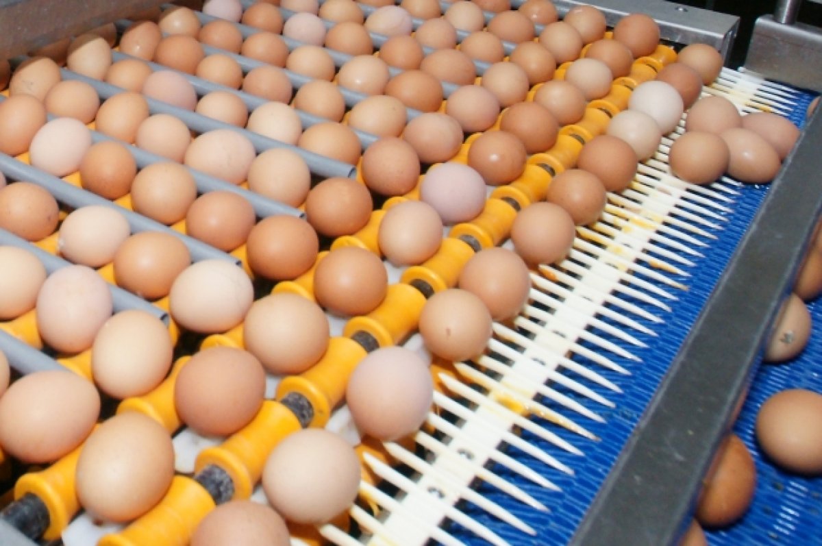 ФАС предостерегла торговые сети от повышения цен на яйца в преддверии Пасхи