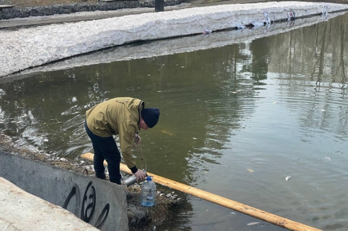 В Ижевске выясняют причины гибели рыбы пруду сквера Оружейника Драгунова |  АиФ Удмуртия