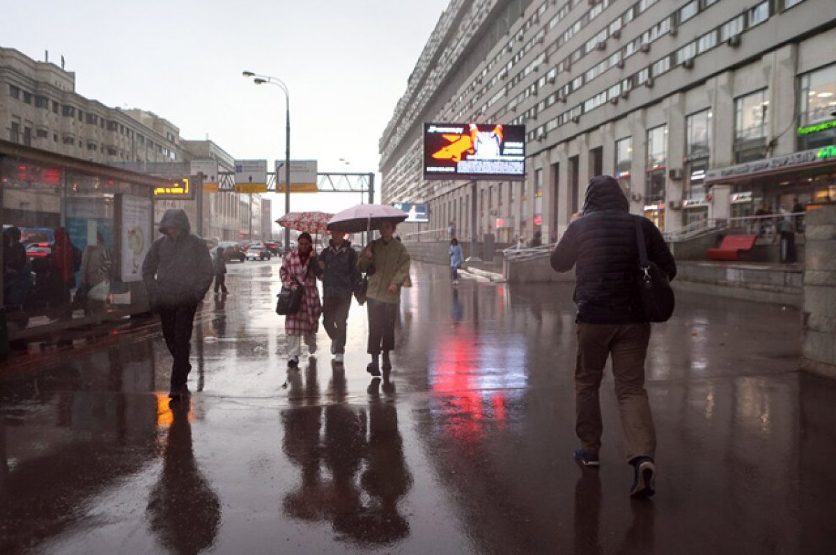 Москву зальет. Сильнейшие ливни обрушатся на столичный регион